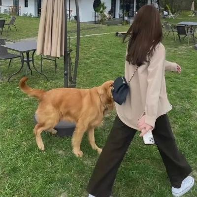 临租家庭